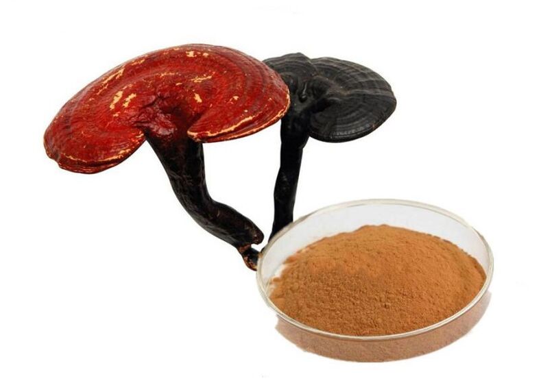 Gélules d'extrait de champignon Reishi Prostamin Forte